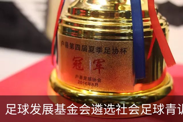 足球发展基金会遴选社会足球青训质量提升行动计划受资助机构通知